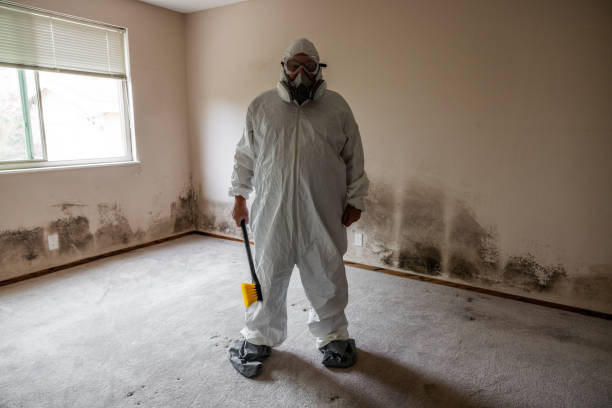 Best Black Mold Removal  in Mineral Springs, NC